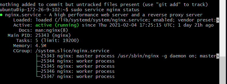 nginx_start